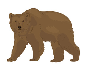 Brown bear or grizzly. The largest predator of the Siberian forest. Wild animal in a natural park. Vector illustration in a flat style.