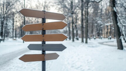 Winter Park Signpost with Blank Directional Arrows, AI