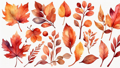 Fototapeta premium PNG Watercolor Autumn Branch Element Set