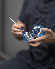 Jaw model is in hands of the dentist. Dentist demonstrates the positioning of teeth to patient. Plastic jaw in hands of a dentist. Dark background. Front view. Soft focus. High quality photo.