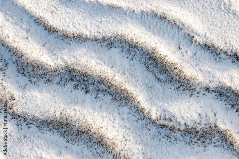 Poster a field of dry grass lying in the frost with sparkling snow and frost as a natural winter background