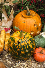 Halloween decoration with pumpkins on wooden stump, close-up	