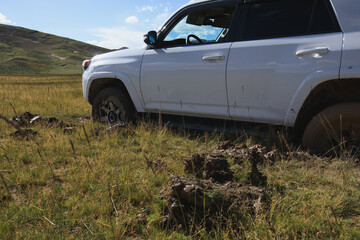 Offroad car got stuck in the mud