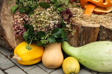 pumpkins and gourds on hay background, autumn harvest
