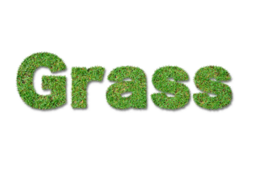 Grass Text Effect with Realistic Lawn Texture on Transparent Background