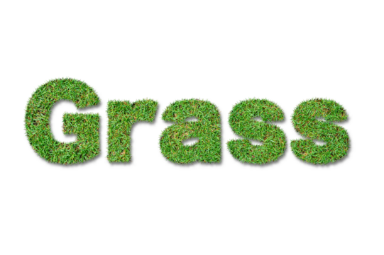 Grass Text Effect with Realistic Lawn Texture on Transparent Background