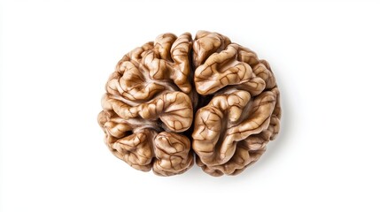 Obraz premium Isolated on a background made of pure white, a walnut brain illustrates brain health