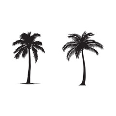 vector of black silhouette of palm tree