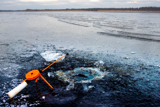 Winter fishing on the first ice after frost. The fishing rod is placed near the hole on the edge of the catter (collar ice) on river. Perch is caught
