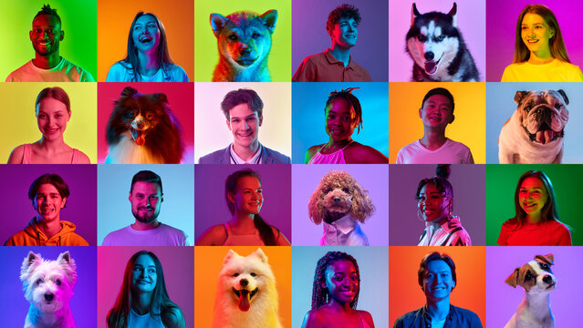 Collage made of portraits happy, smiling diverse people and different pets posing in neon light against vibrant background. Concept of people and their pets, veterinary, friendship. Ad