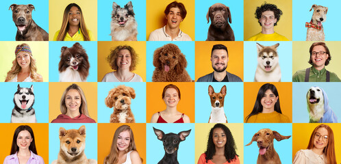 Collage made of portraits purebred dogs and people, seamlessly look alike posing against...