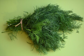 bunch of dill macro texture, close up texture of green dill, macro texture of dill, close up bunch of dill 