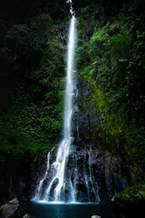 cascade et verdure