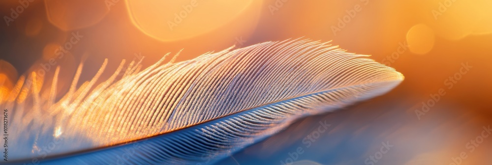 Poster delicate feather details, showcasing intricate textures and sharp edges illuminated by soft, ambient