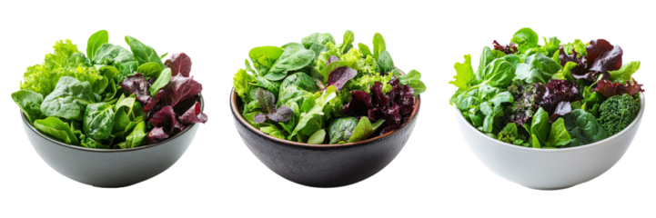 Fresh green salad in bowl isolated on transparent PNG background image perfect for food-themed illustrations or healthy eating designs