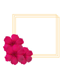 frame with flowers