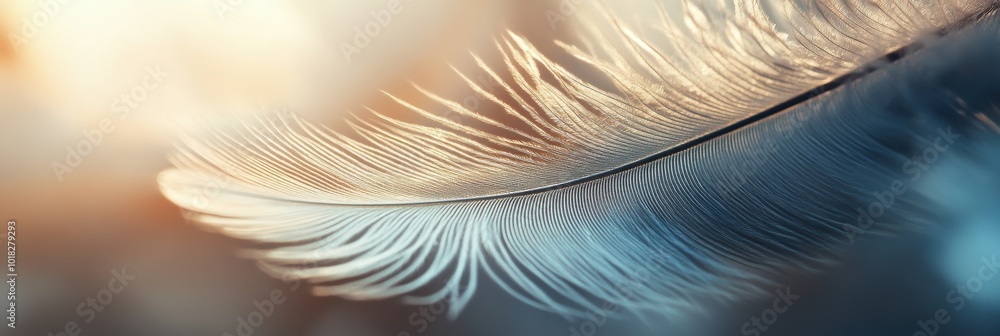 Poster intricate feather detail, showcasing the fine, sharp edges and delicate texture illuminated by soft 