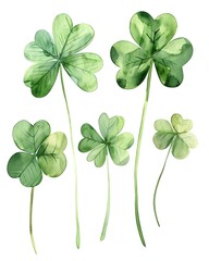 Whimsical Watercolor Clovers Set on White Background with Bright Lucky Green Leaves