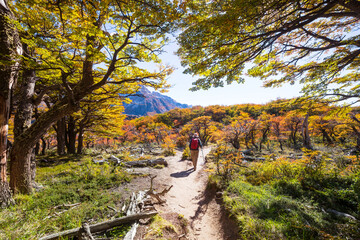 Hike in autumn season