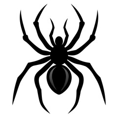 Black widow spider black silhouette vector art illustration Isolated on Transparent background