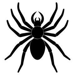 Obraz premium Black widow spider black silhouette vector art illustration Isolated on Transparent background