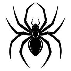 Black widow spider black silhouette vector art illustration Isolated on Transparent background