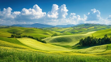 Obraz premium A rolling green landscape with hills and fields under a bright blue sky with white clouds.
