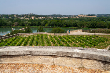 photographie de voyage, Avignon, la cité des papes, France, tourisme, touristique, patrimoine...