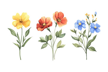 Obraz premium Set of elegant watercolor collection of hand-drawn flowers and herbs