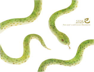 年賀状に使えるかわいい緑のヘビのイラスト