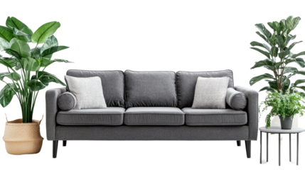 sofa transparent background