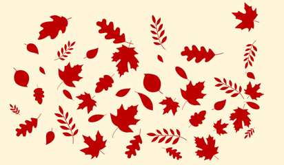 Set of Different Autumn Leaves Vector Design. Autumn fall leaves Rowan, nut, oak, maple, birch and acorns illustration Background. Random Leaves fall. Autumn Seasonal Background