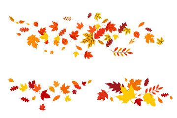 Set of Different Autumn Leaves Vector Design. Autumn fall leaves Rowan, nut, oak, maple, birch and acorns illustration Background. Random Leaves fall. Autumn Seasonal Background