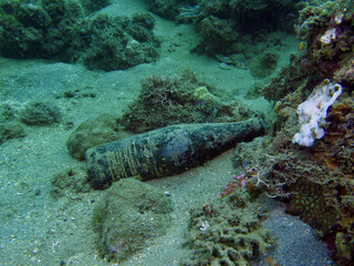 Garbage on the seabed. An empty glass bottle lies on the sandy bottom among the corals.