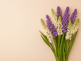 Obraz premium Spring floral pattern, Grape hyacinth Muscari flowers. Purple muscari bouquet. Minimal nature flowery still life, blooming plant on beige background. Spring seasonal styling, flat lay