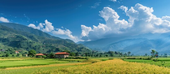 Rural Landscape with Agricultural Field and Clear Blue Sky