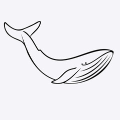 Humpback whale, line art isolated on white background. Minimal abstract whale linear sketch drawing.