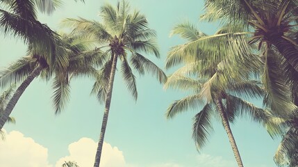 Palm Trees Against Blue Sky with Vintage Filter