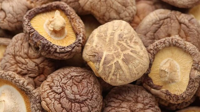 Close up of dried shiitake mushrooms. rotating
