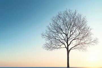 A solitary tree stands against a serene sky, showcasing the beauty of nature in a peaceful landscape during sunset.