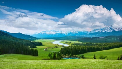 Obraz premium Amazing alpine spring summer landscape with green meadows flowers and snowy peak in the background