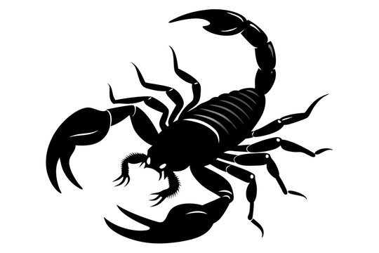 black scorpion on white background clip art preview