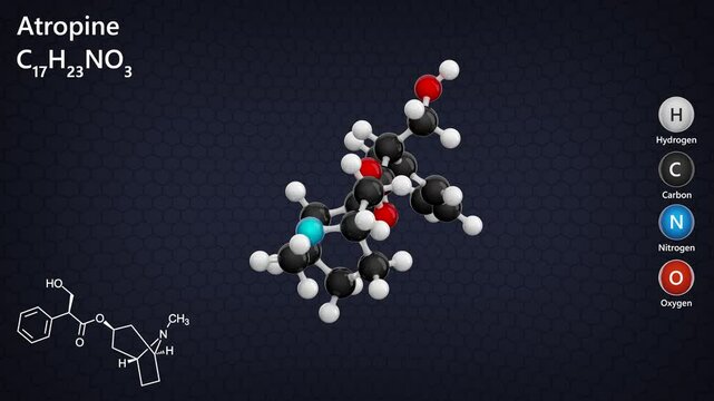 Molecule of Atropine (C17H23NO3) is an antimuscarinic alkaloid derived from *Atropa belladonna*. It is used in medicine for treating bradycardia and as an antidote. Dark back. 3D render