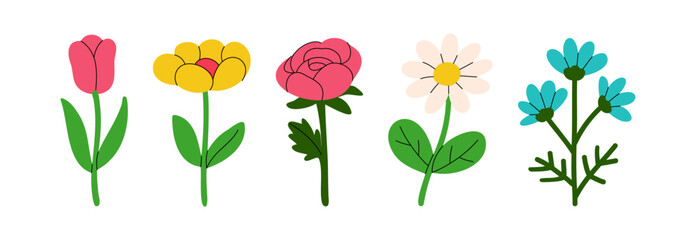 Floral Vector Illustration Set. Roses, Daisies, and Colorful Flowers in Flat Style