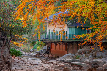 Magnificent autumn landscapes near a river in the Canadian forest in the province of Quebec