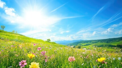 Fototapeta premium Green grass and wildflowers in a summer meadow with bright blue skies, capturing a picturesque countryside scene.