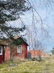 A view of red wooden houses on Donso Archipelago island .