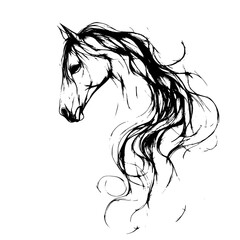 horse vector
