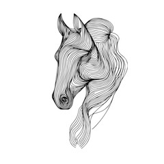 horse vector