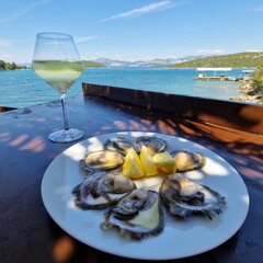 Oysters with the glass of white wine